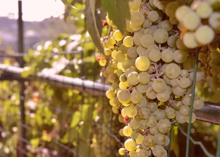 Horská chata El Manantial